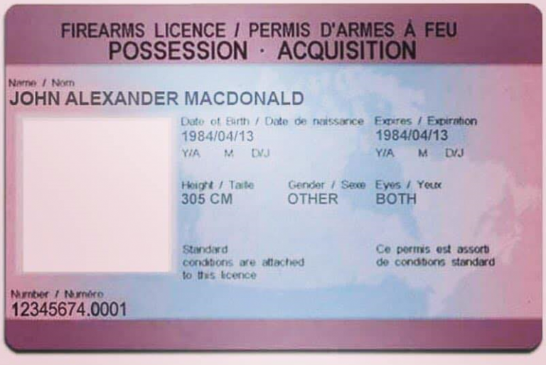 The Canadian Guide How to get a Firearms License (PAL